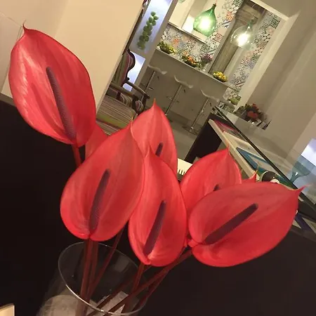 מלון דירות Flats